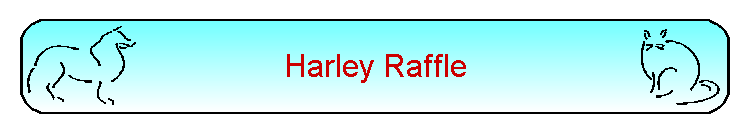 Harley Raffle